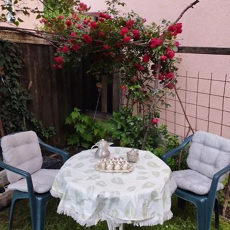 Apartment Medrese *
